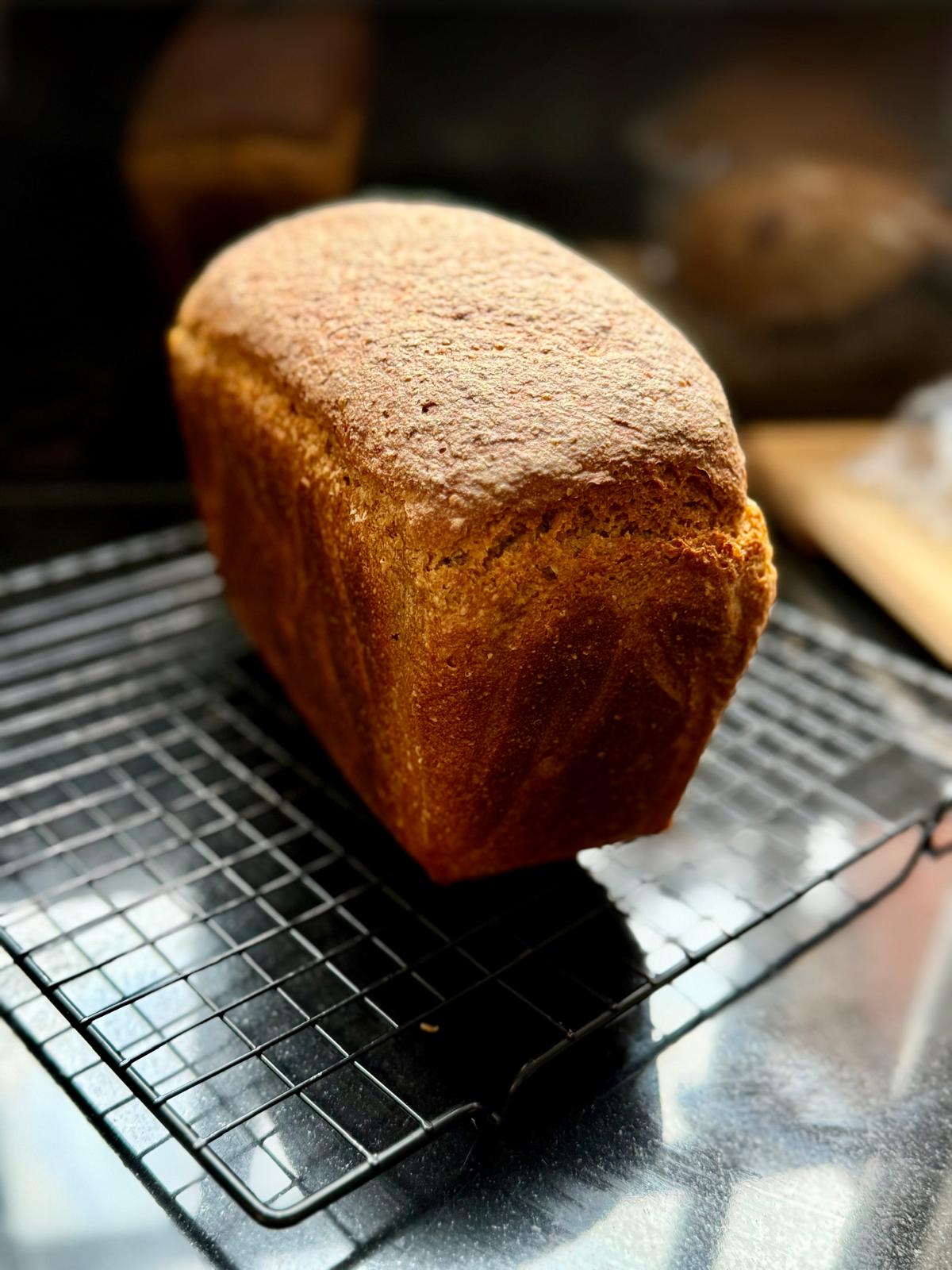 Rye Bread
